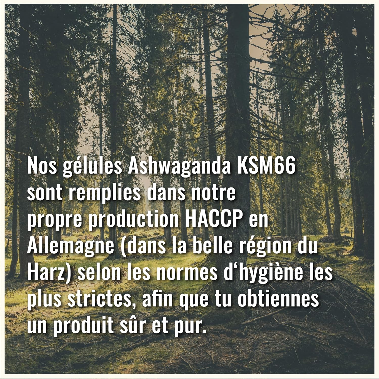Detalle de Ashwagandha KSM-66 Gélules – Ultra dosé et pur, 100 gélules