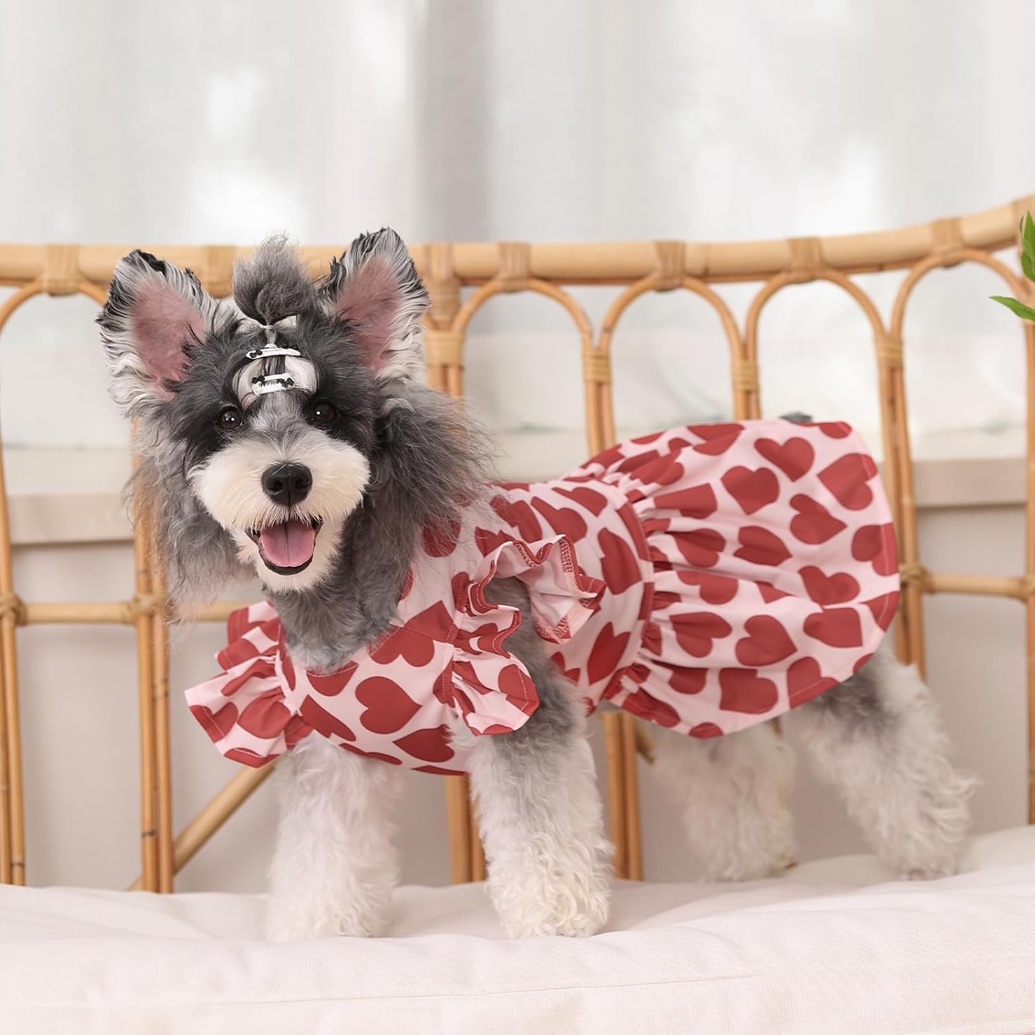 Detalle 2 de CuteBone Dog Dress XX-Small