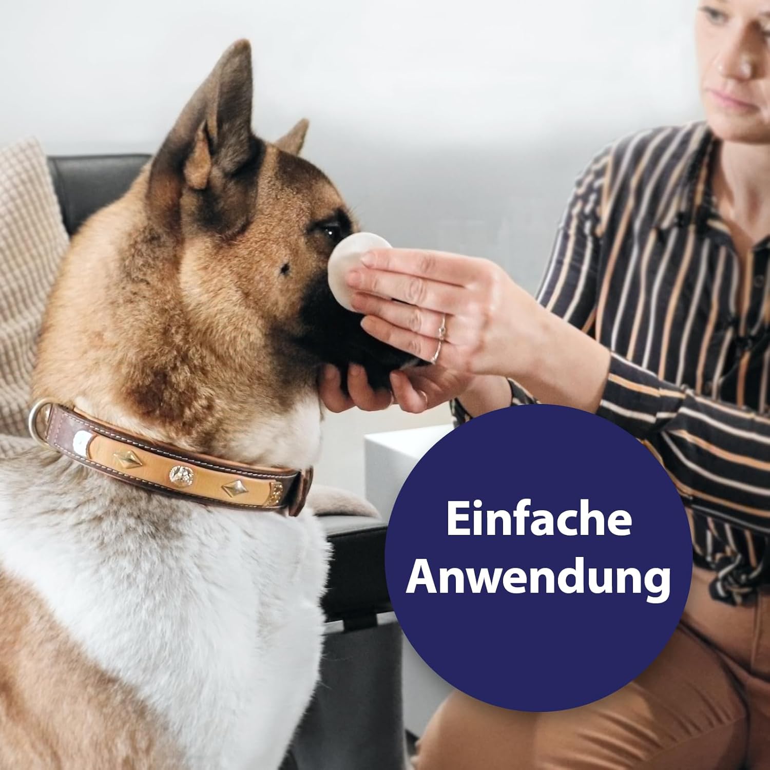Detalle de Canosept Augenpflege-Pads für Hunde – 100 Stück, Augenreiniger mit Aloe Vera
