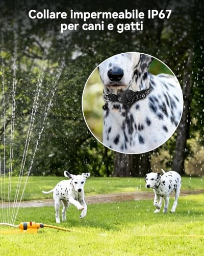 Detalle 2 de Collare GPS CMINGKEJI per Cani e Gatti senza abbonamento — localizzazione in tempo reale e autonomia a lungo raggio