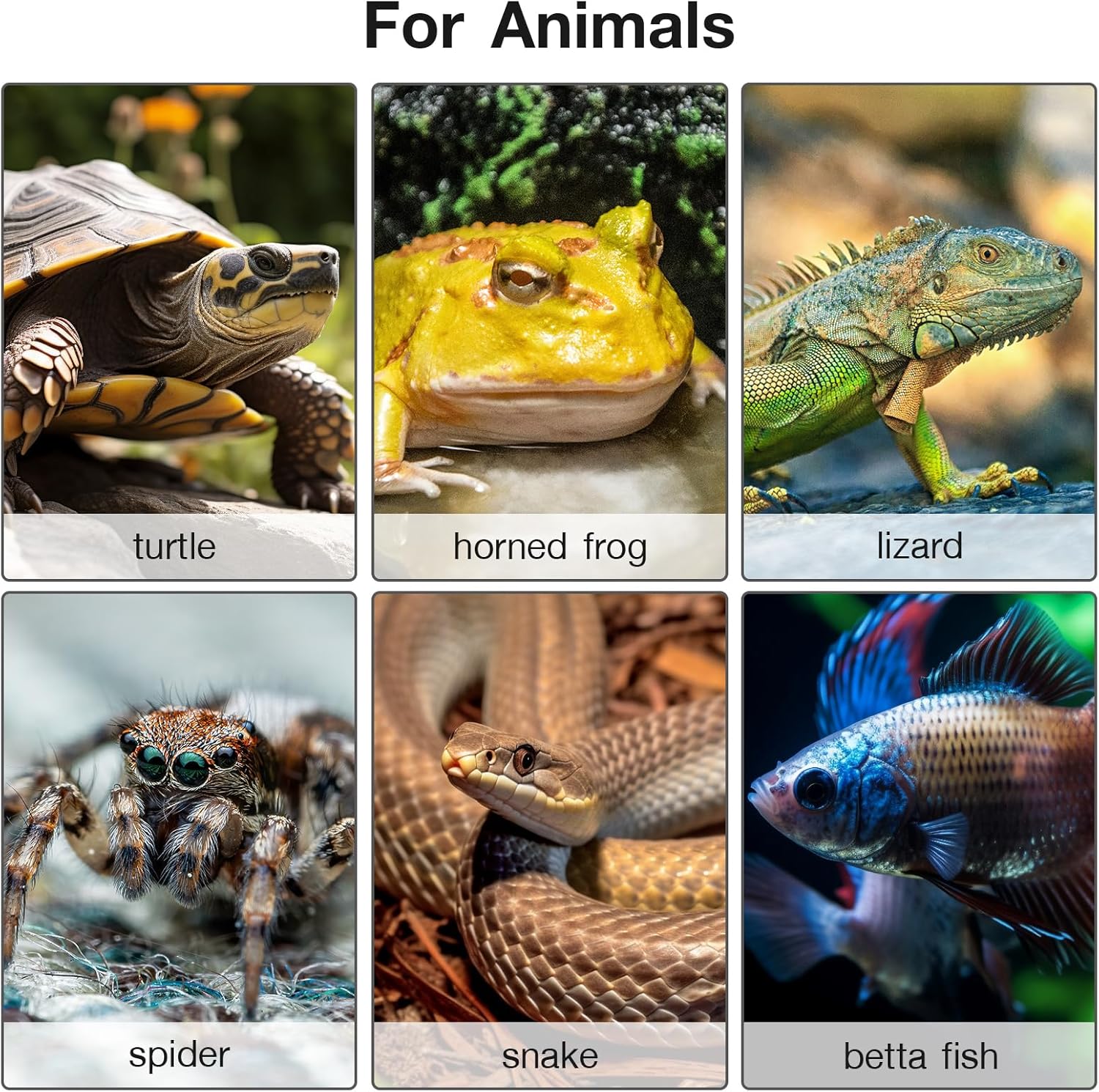 Thumbnail 5 de Mojimdo 50W Heizmatte für Pflanzen mit Thermostat (2er-Set) – konstante Wärme für Keimung & Temperaturregelung