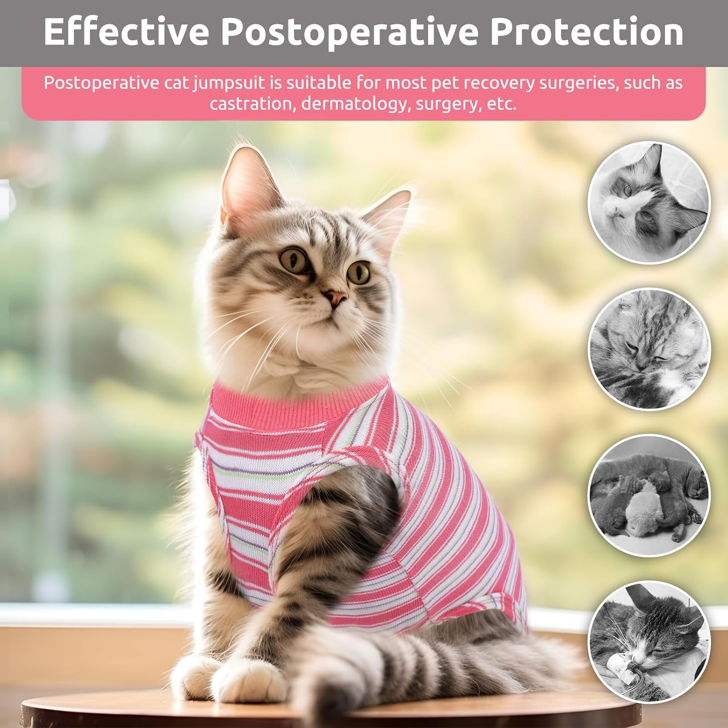 Thumbnail 3 de ASENKU Katzenbody nach OP S 37 cm