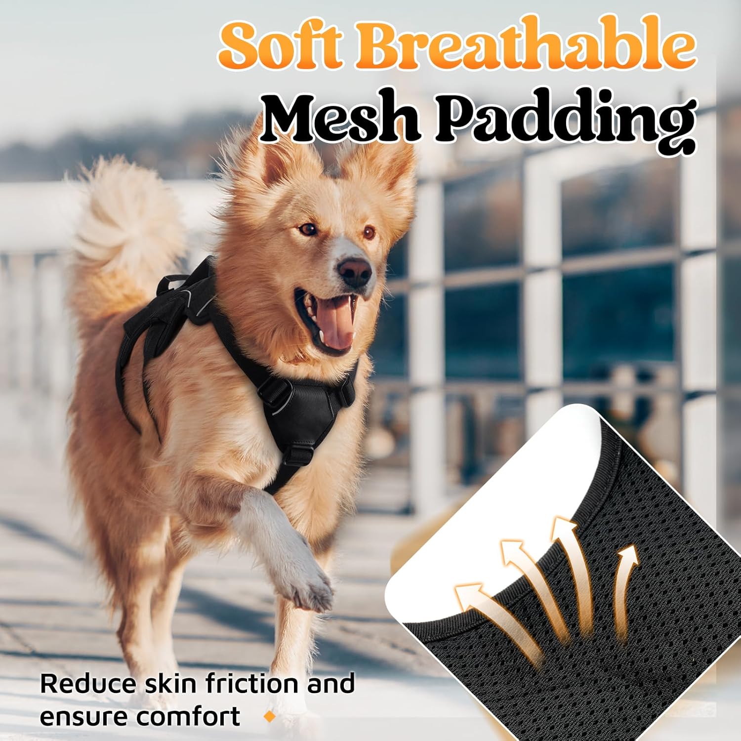 Thumbnail 6 de rabbitgoo dog harness with escape-proof fit