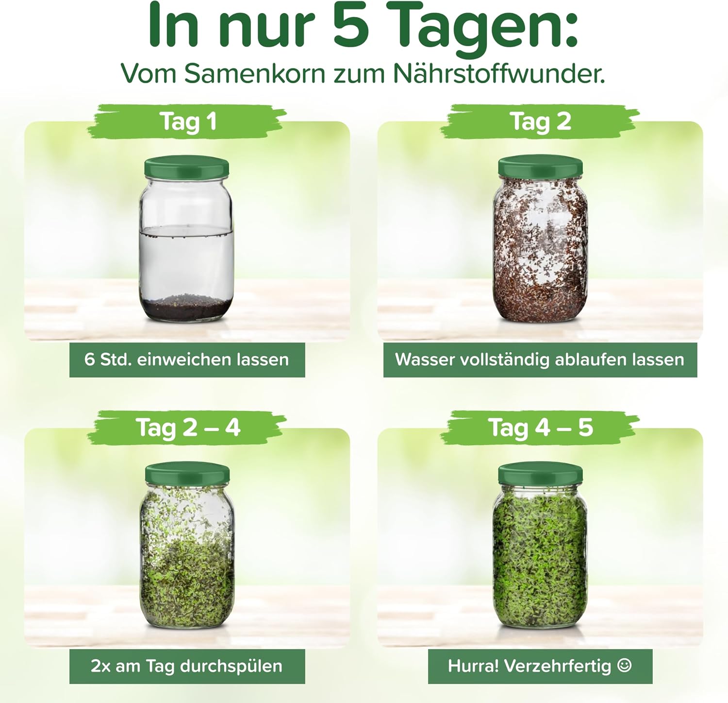 Detalle 2 de BIO Brokkoli-Sprossen Samen 500 g