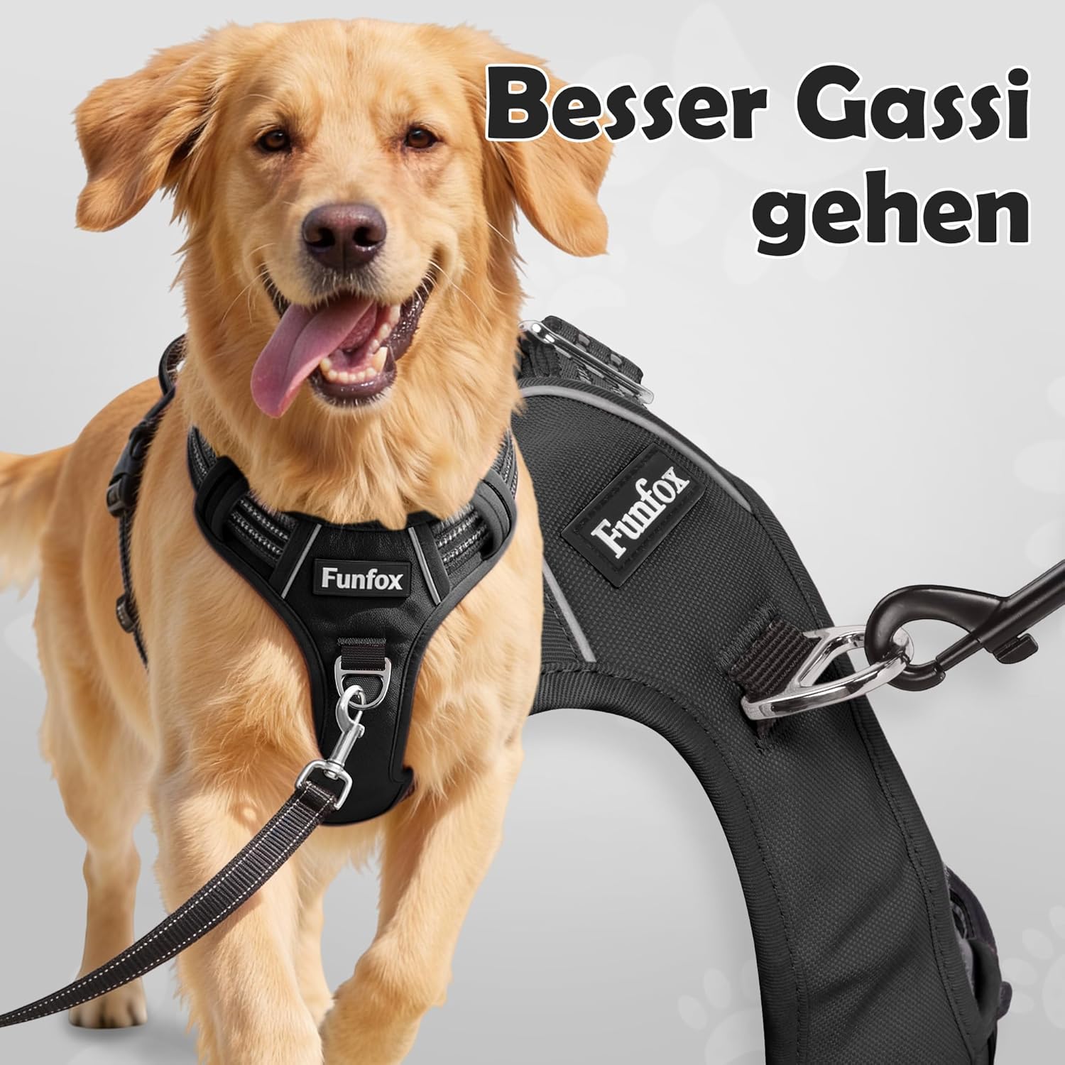 Thumbnail 2 de Funfox Hundegeschirr Grosse Hunde XL