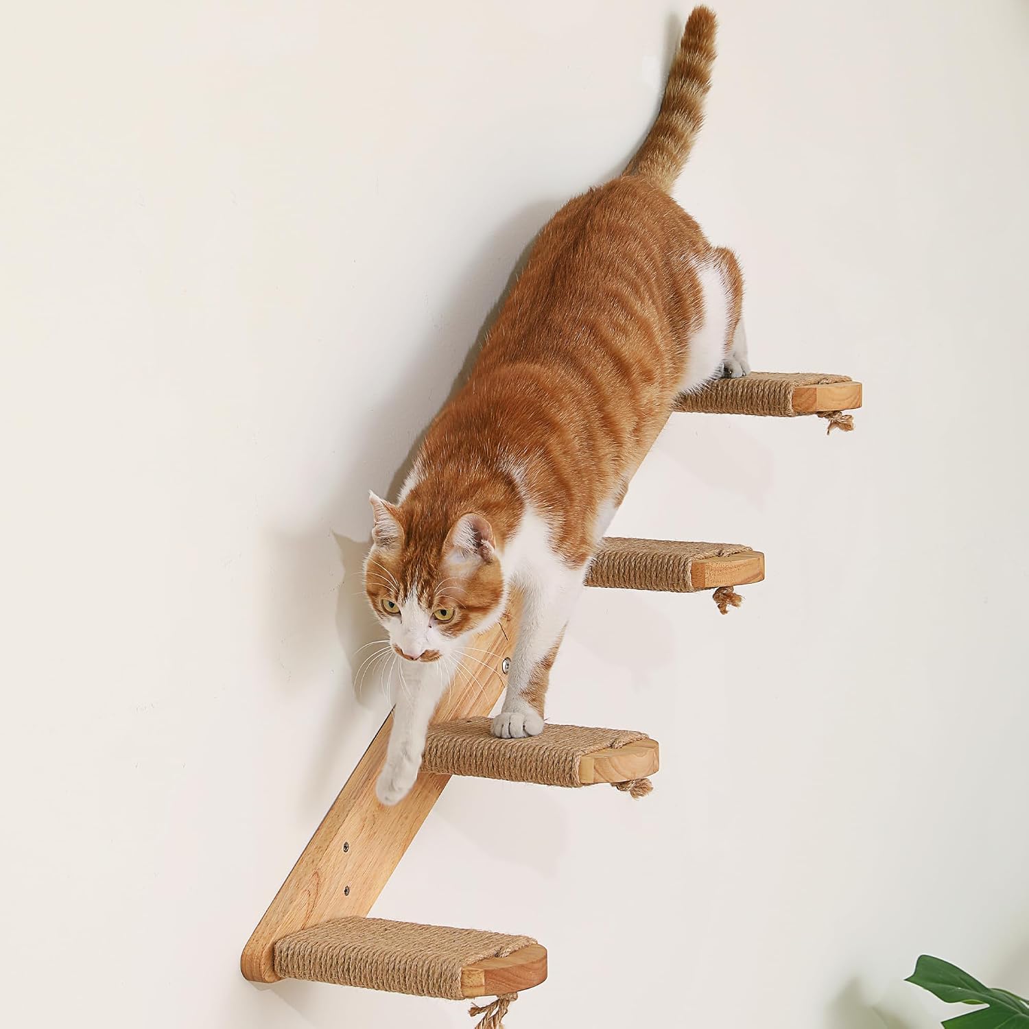 Detalle de FUKUMARU Wandregal für Katzen – 4-stufige Wandkatzentreppe aus Massivholz mit Juteschnur (66 cm)