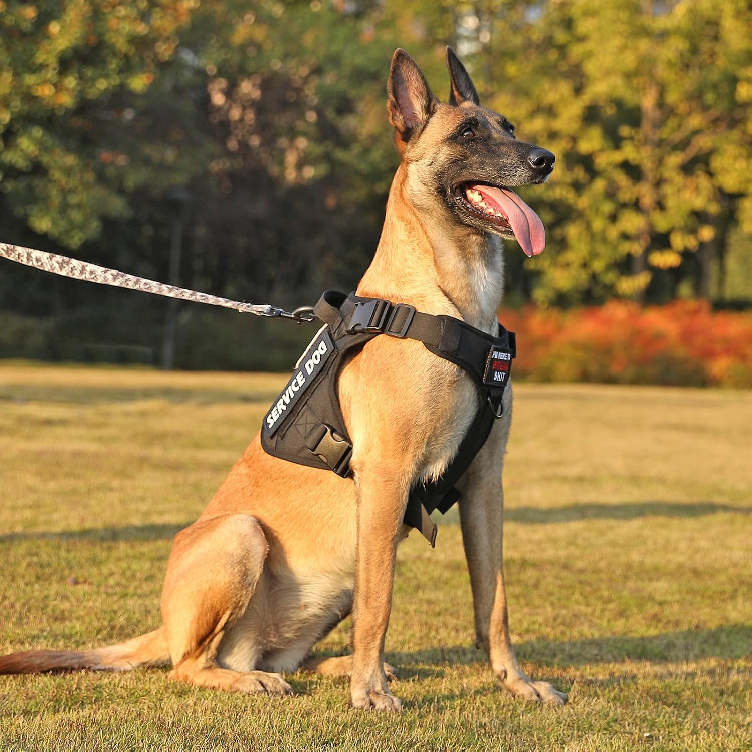 Thumbnail 6 de Belababy Tactical Anti Pull Dog Harness with Front Clip and Handle (Sizes S/M/L)