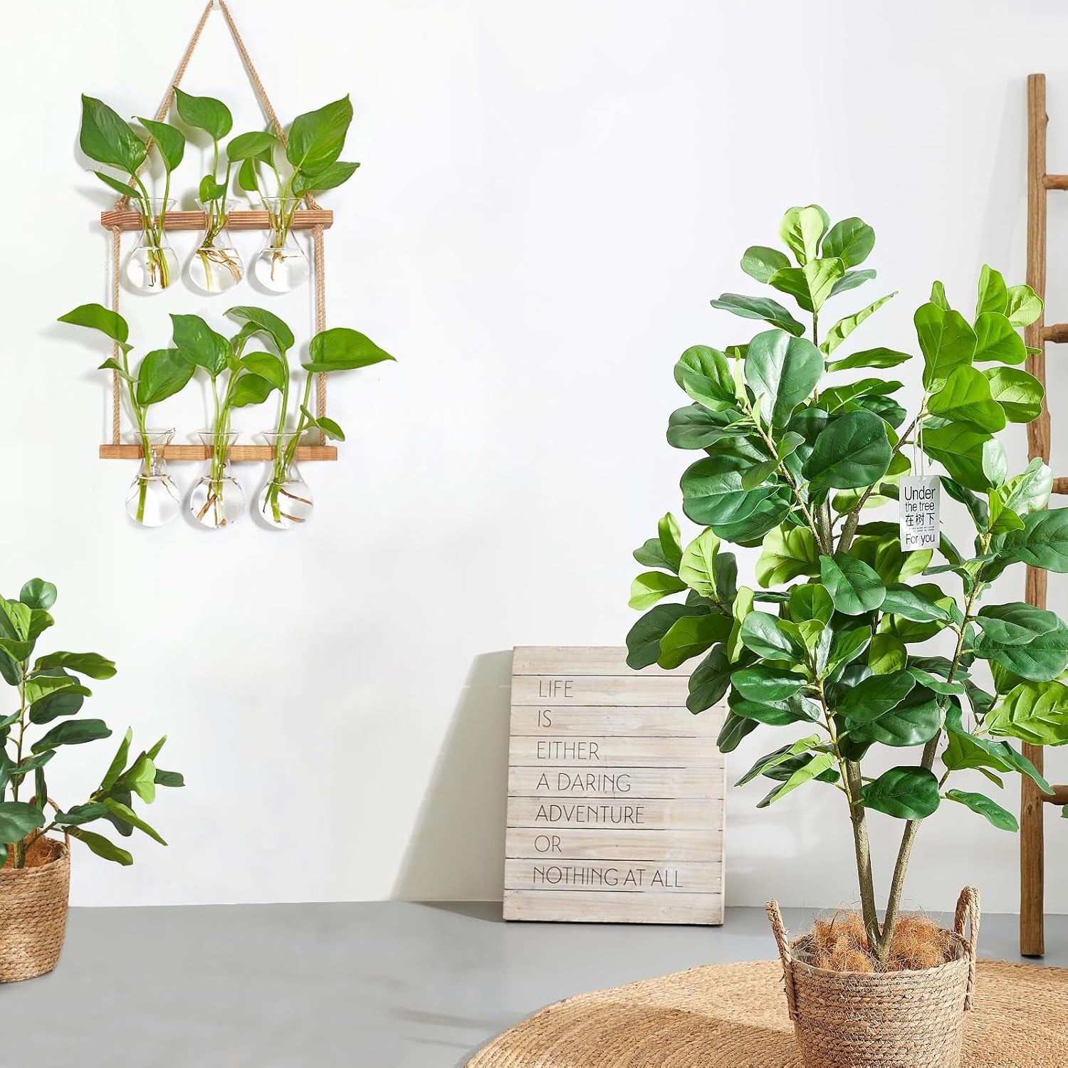 Thumbnail 3 de XXXFLOWER Wall Hanging Plant Propagation Station with Wooden Stand (3 Bulb Vase, 2 Tiers)