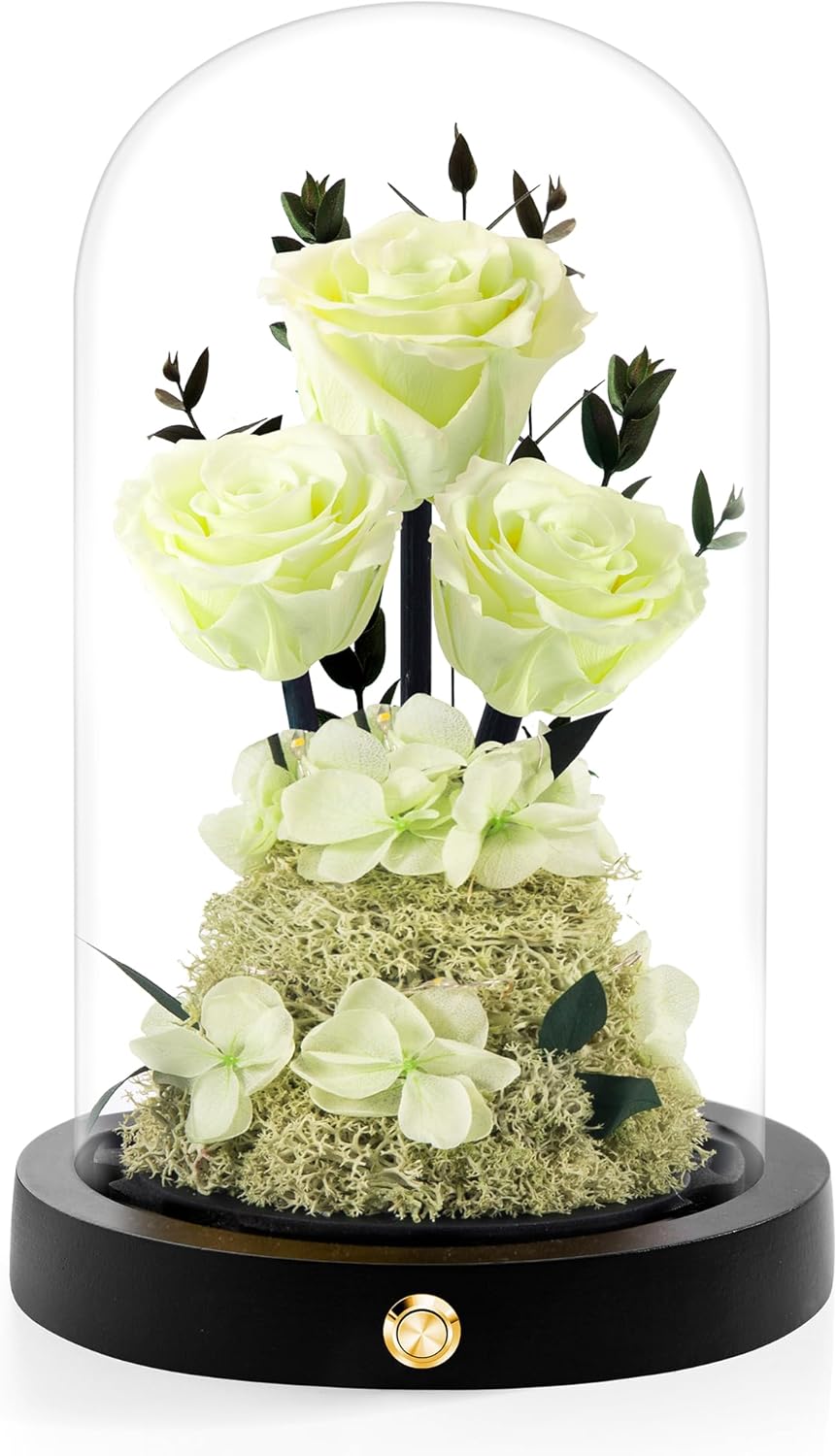 Thumbnail 6 de Agrul Preserved Roses in Glass Dome 🌹