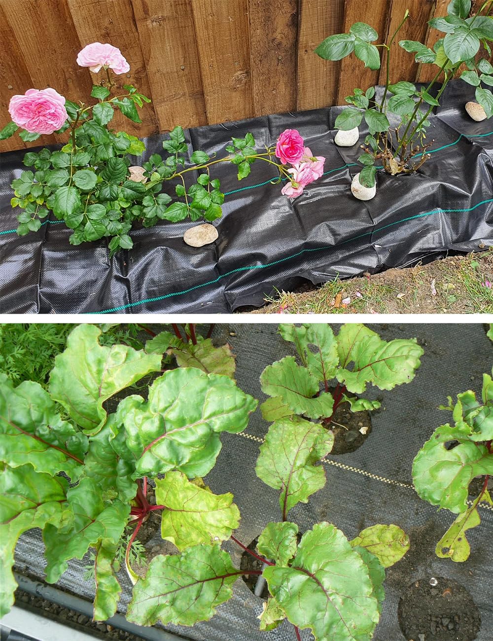 Thumbnail 6 de wohohoho 6.6ft x 16ft weed control membrane (2m x 5m) heavy-duty landscape weed fabric