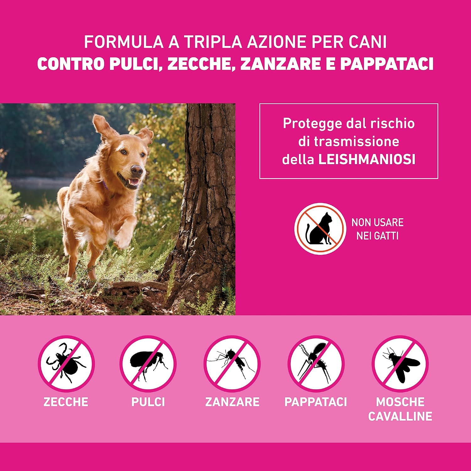 Detalle de Frontline Tri-Act x3 Antiparassitario Cani 5-10 Kg – Protezione contro pulci, zecche, zanzare e flebotomi