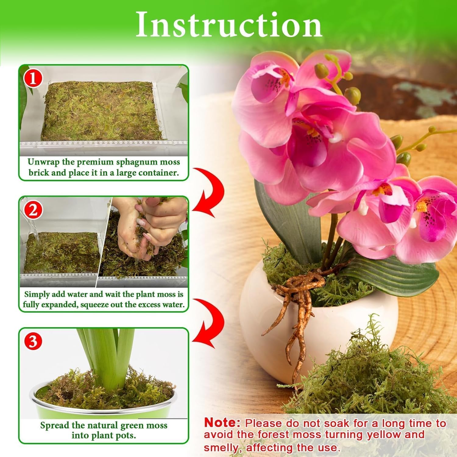 Thumbnail 3 de Halatool Sphagnum Moos 230 g für Pflanzen – naturbelassenes Moos für Orchideen, Terrarien & Umtopfen