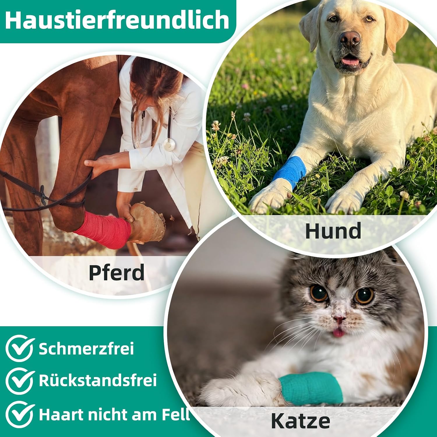 Detalle de HONYAO selbstklebende Kohäsionsbinde – 10 Rollen, 7,5 cm × 4,5 m, elastisch für Erste Hilfe & Sport (10 Farben)