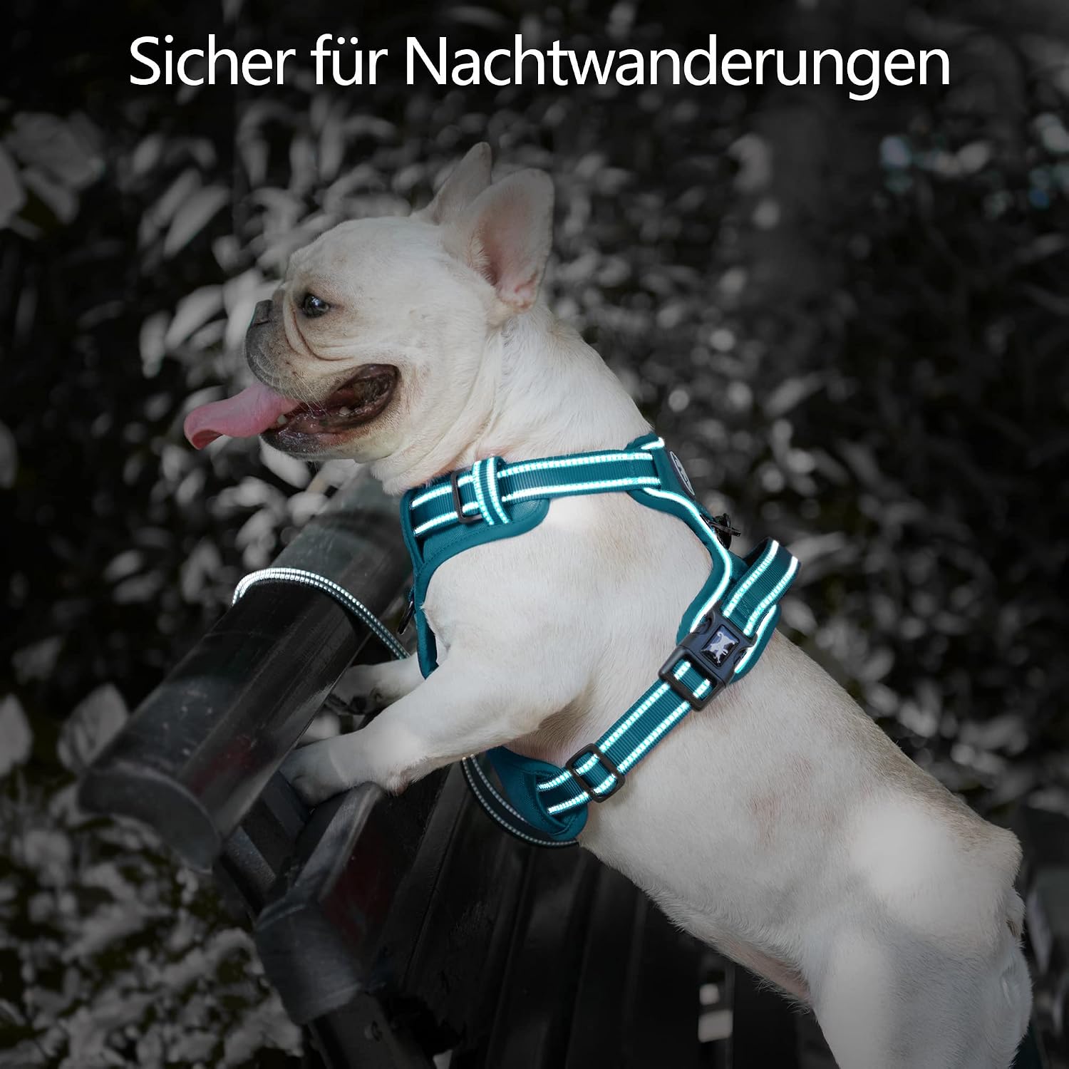Detalle 2 de PoyPet Tumalo Teal Hundegeschirr L – gepolsterte Weste für große Hunde