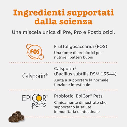 Detalle 2 de Zesty Paws Probiotici per Cani – 90 Bocconcini: benessere digestivo e supporto immunitario