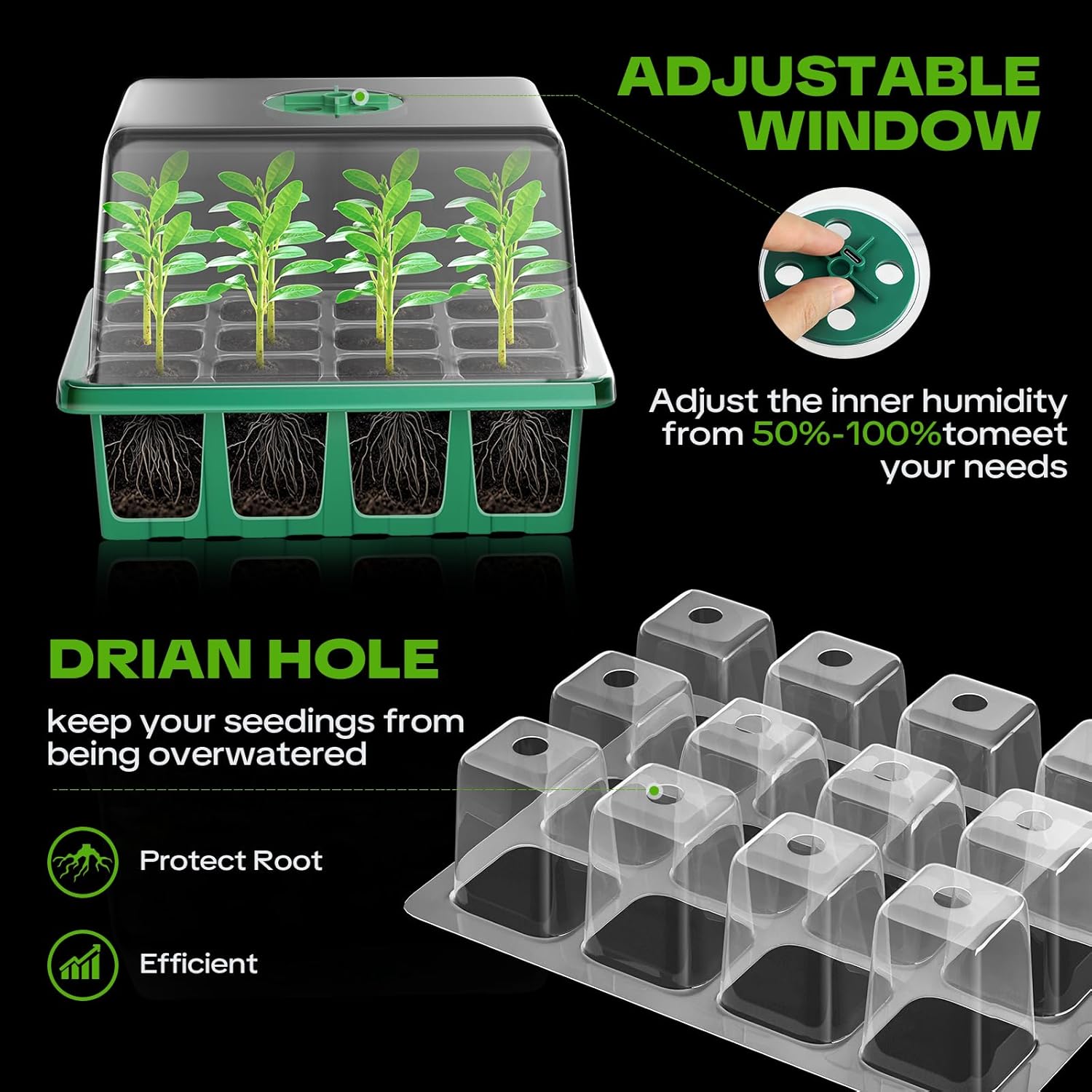 Thumbnail 5 de YAUNGEL Seed Trays with Grow Light