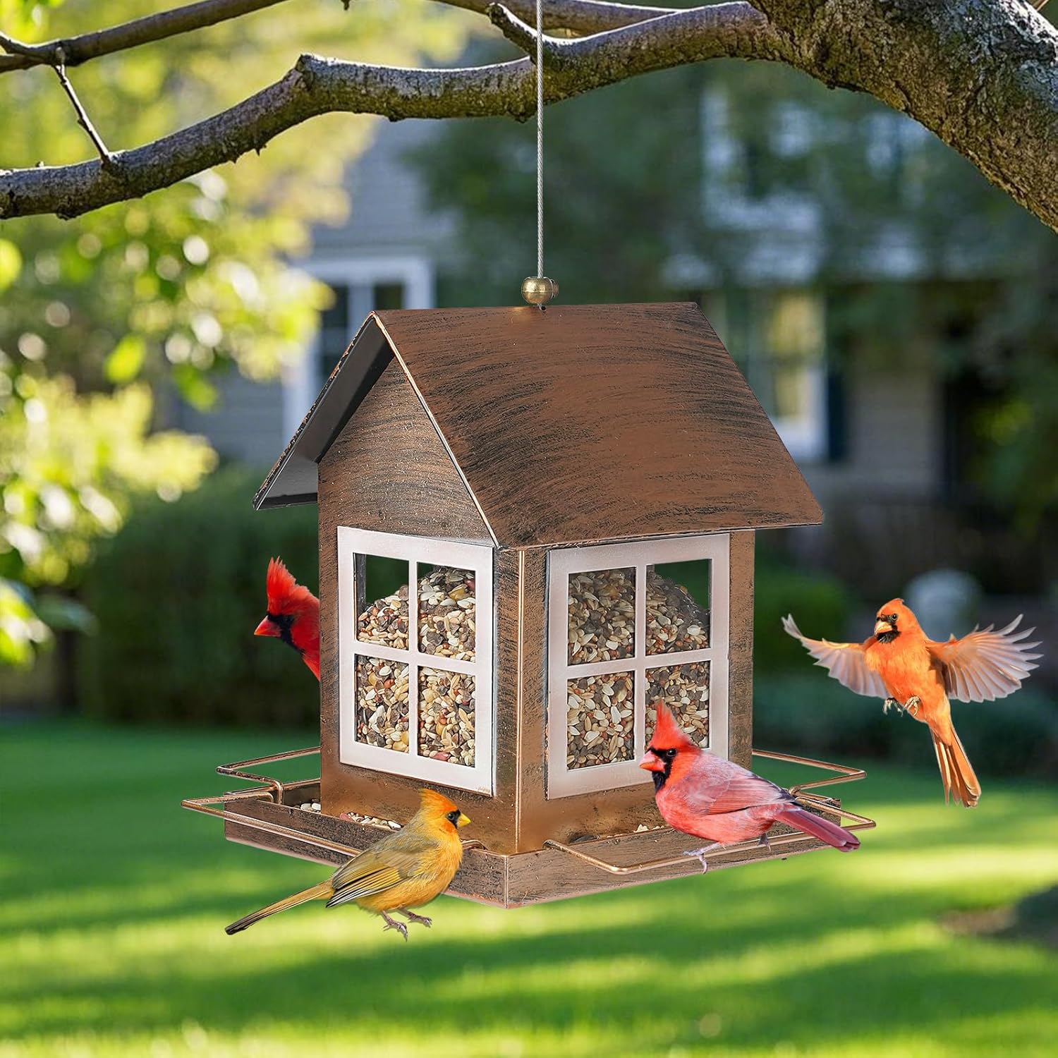 Thumbnail 6 de IWTTWY Bird Feeder Hanging: Heavy Duty Metal, Squirrel-Proof, Large Capacity
