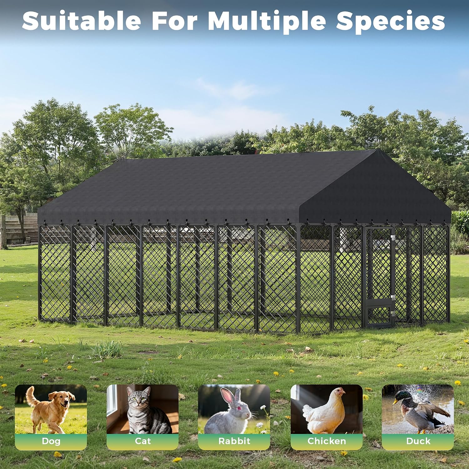 Thumbnail 6 de Outdoor Dog Kennel 10x14