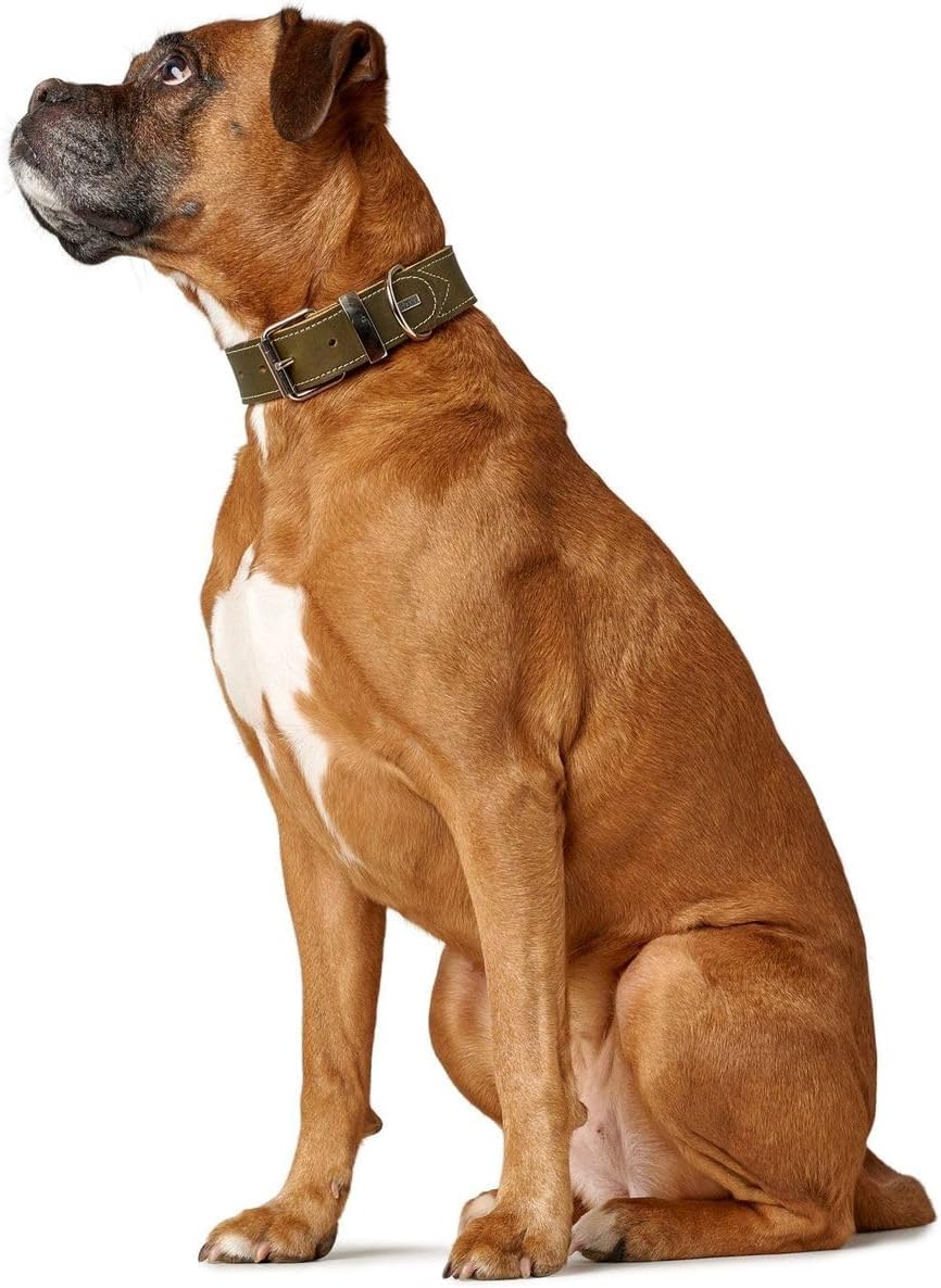 Thumbnail 4 de HUNTER Aalborg Special Hundehalsband – Olivgrün, stark gefettet, Made in Germany