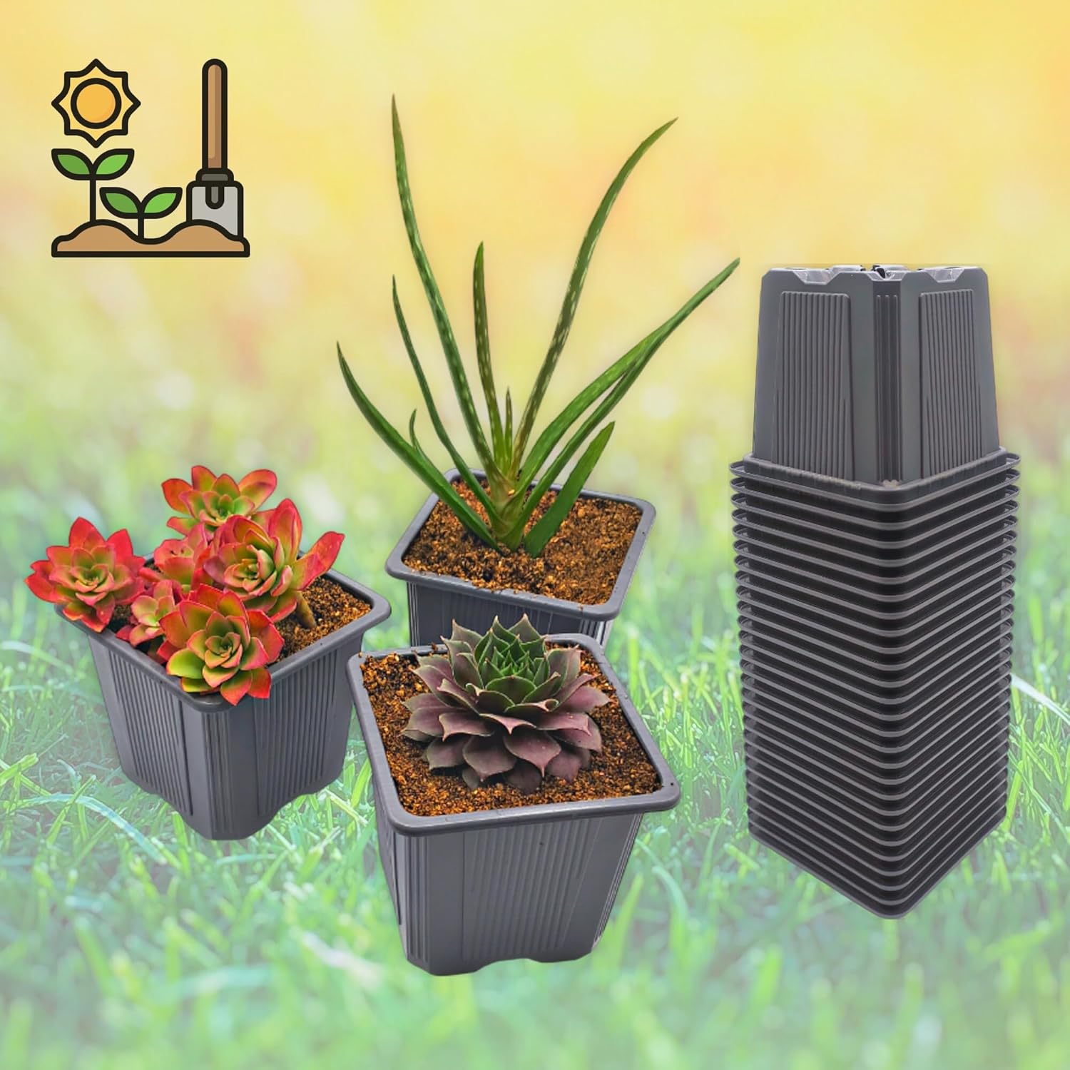 Thumbnail 5 de Verdonia lot de 70 godets en plastique 8 cm pour semis, repiquage et bouturage