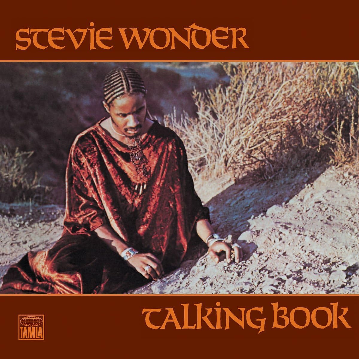 Detalle de スティーヴィー・ワンダー TALKING BOOK アルバム 1972年発表・デジタルリマスター