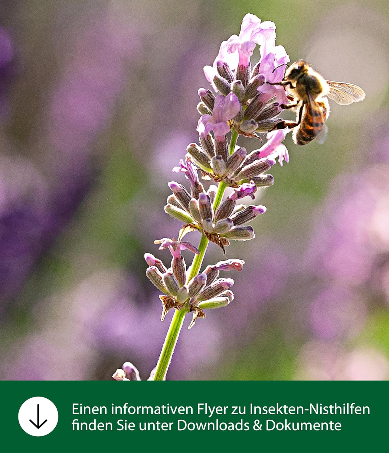 Thumbnail 2 de Dehner Natura Casetta per insetti Andrena – rifugio in legno naturale, 29,5 x 9,5 x 28,5 cm