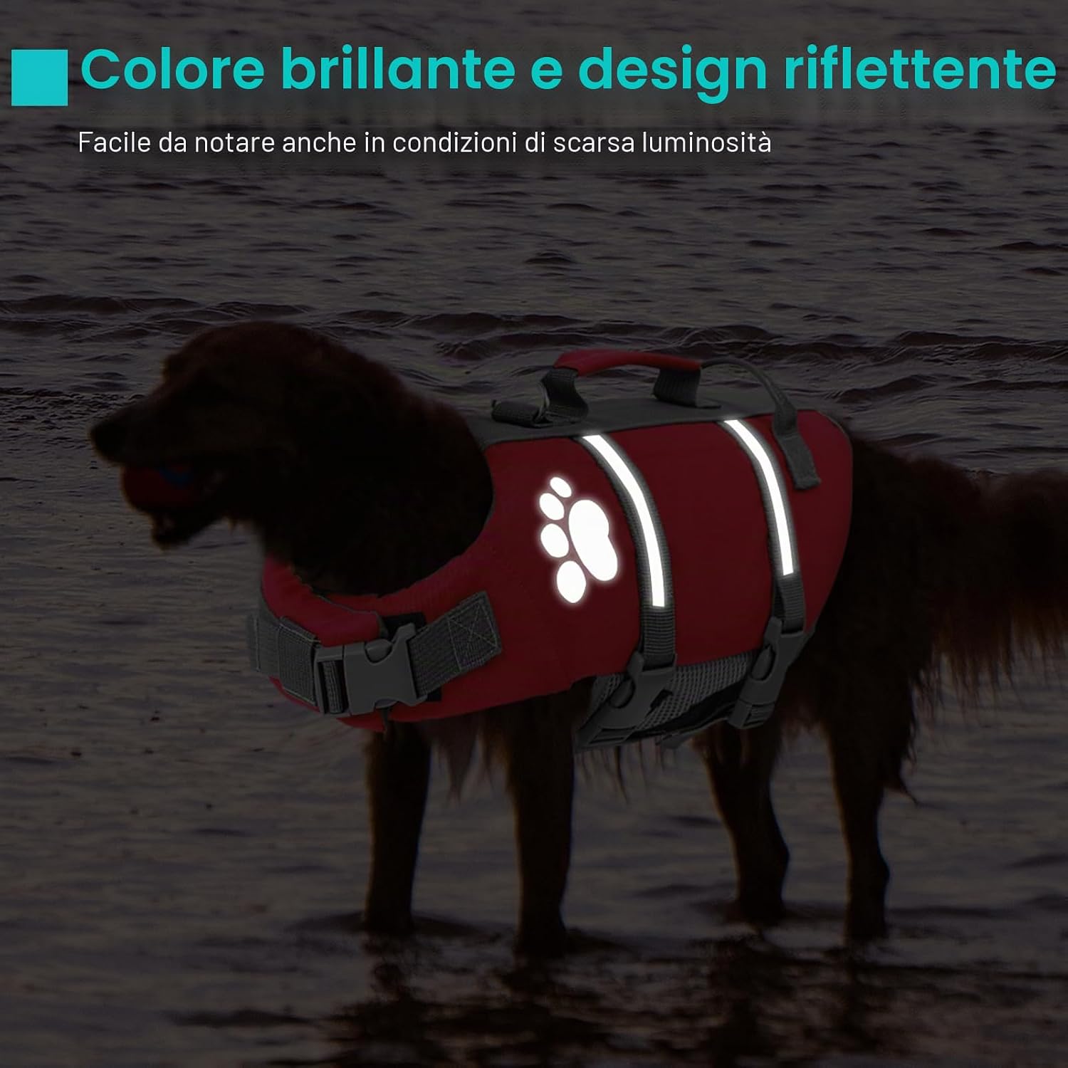 Detalle de Queenmore Salvagente Cane Taglia Grande con Maniglia – per cani grandi e attività acquatiche