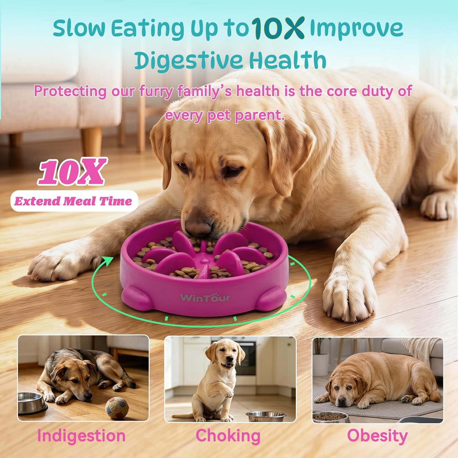 Thumbnail 1 de WinTour Dog Slow Feeder Bowl, 2-Pack Flower-Design PP Puzzle Feeders