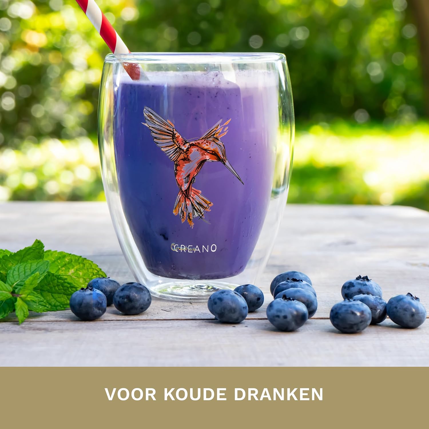 Detalle 1 de Creano 165 dubbelwandig thermoglas 250 ml, rood borosilicaatglas met kolibrimotief
