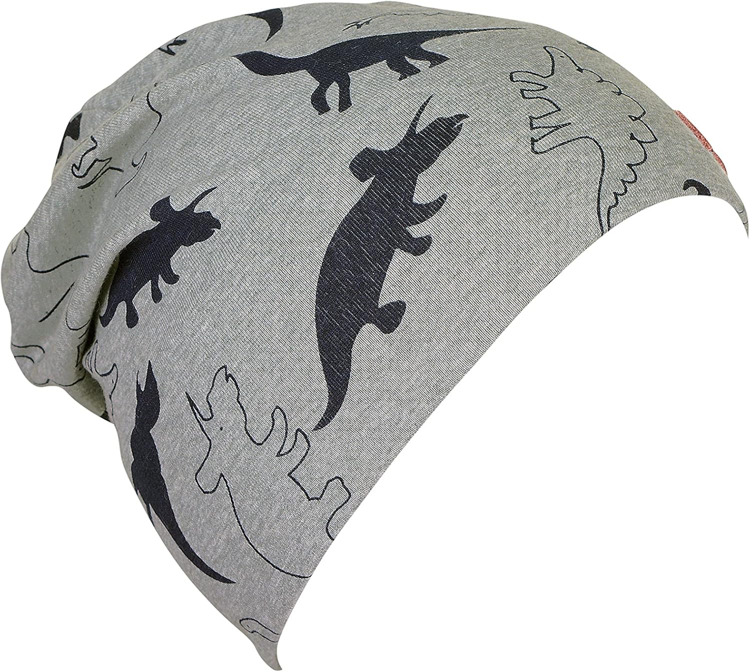 Detalle 2 de Sterntaler Jungen Slouch-Beanie Dino2 Mütze aus Jersey mit Dino-Print