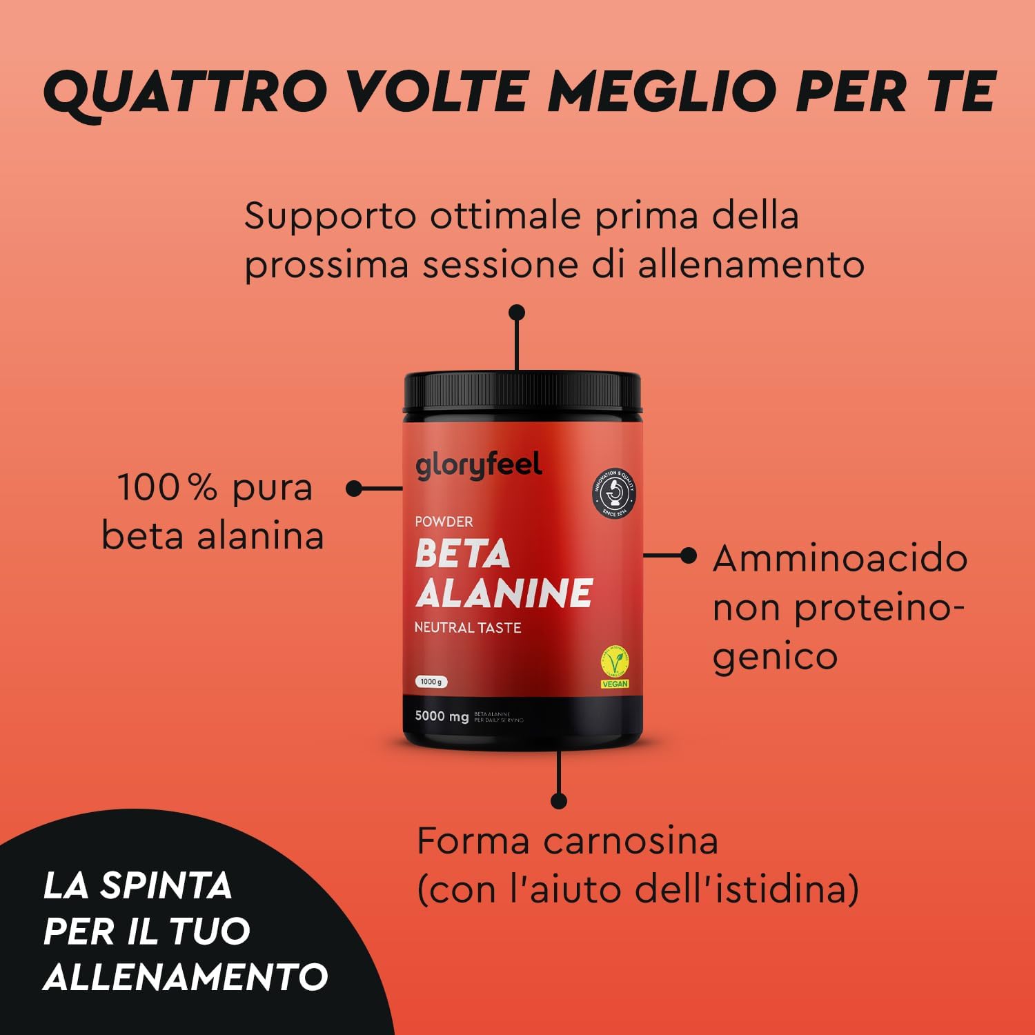 Thumbnail 5 de Beta Alanina 1000g 5000mg pre allenamento