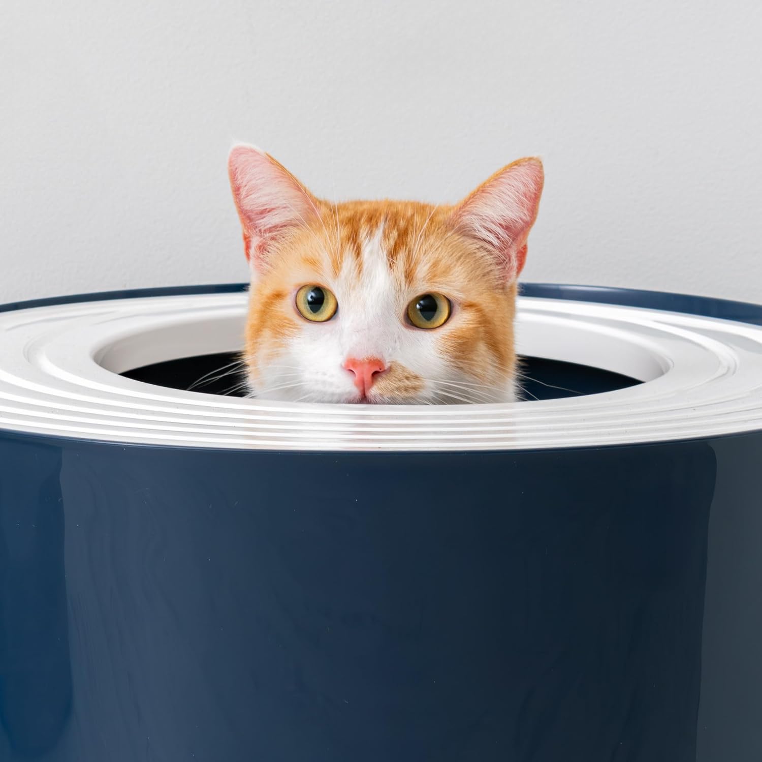 Thumbnail 6 de IRIS USA 553321 Top-Entry Cat Litter Box, Navy/White, Grooved Lid