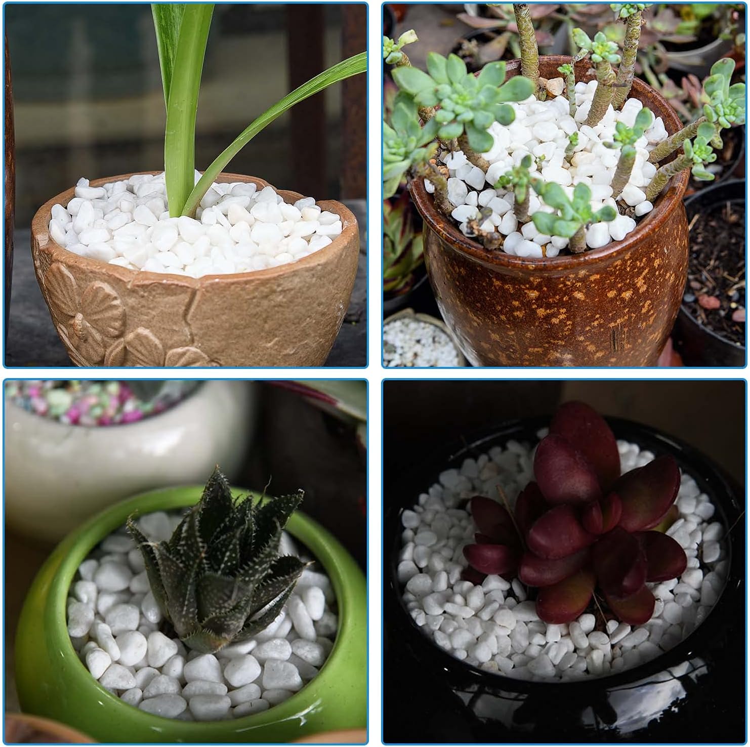 Thumbnail 6 de Hisredsun White Decorative Stones (3.96 lb) Natural Gravel for Pots, Succulents & Aquariums