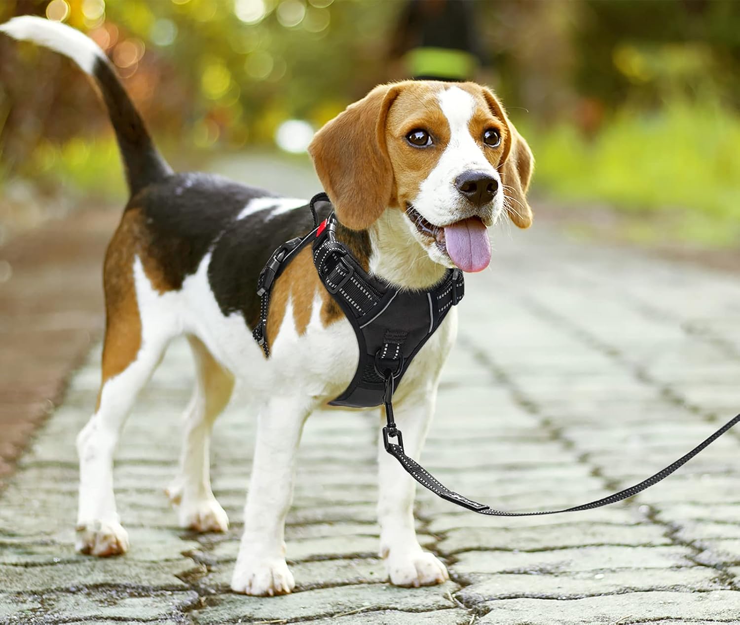 Detalle de PoyPet No Pull Dog Harness 2-clip, Large