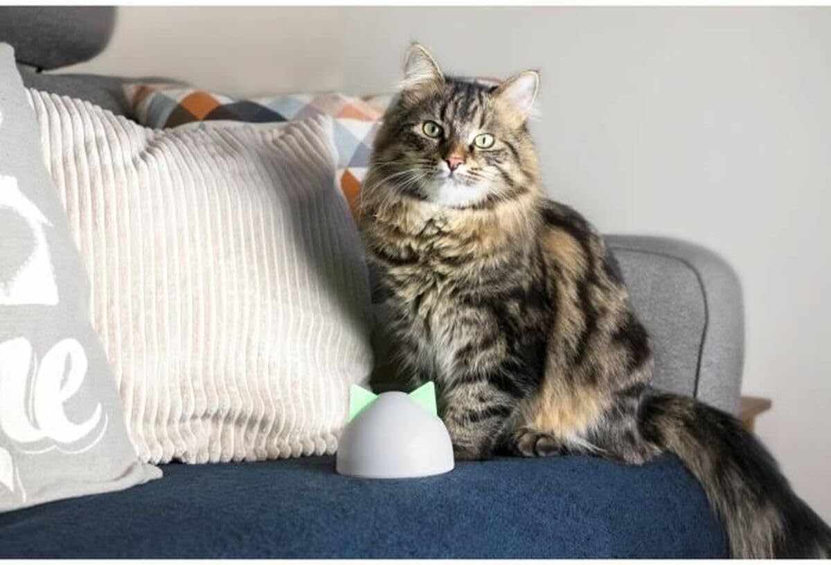 Thumbnail 3 de Hub Sure Petcare: connettività e monitoraggio per la gamma Connect Sure Petcare