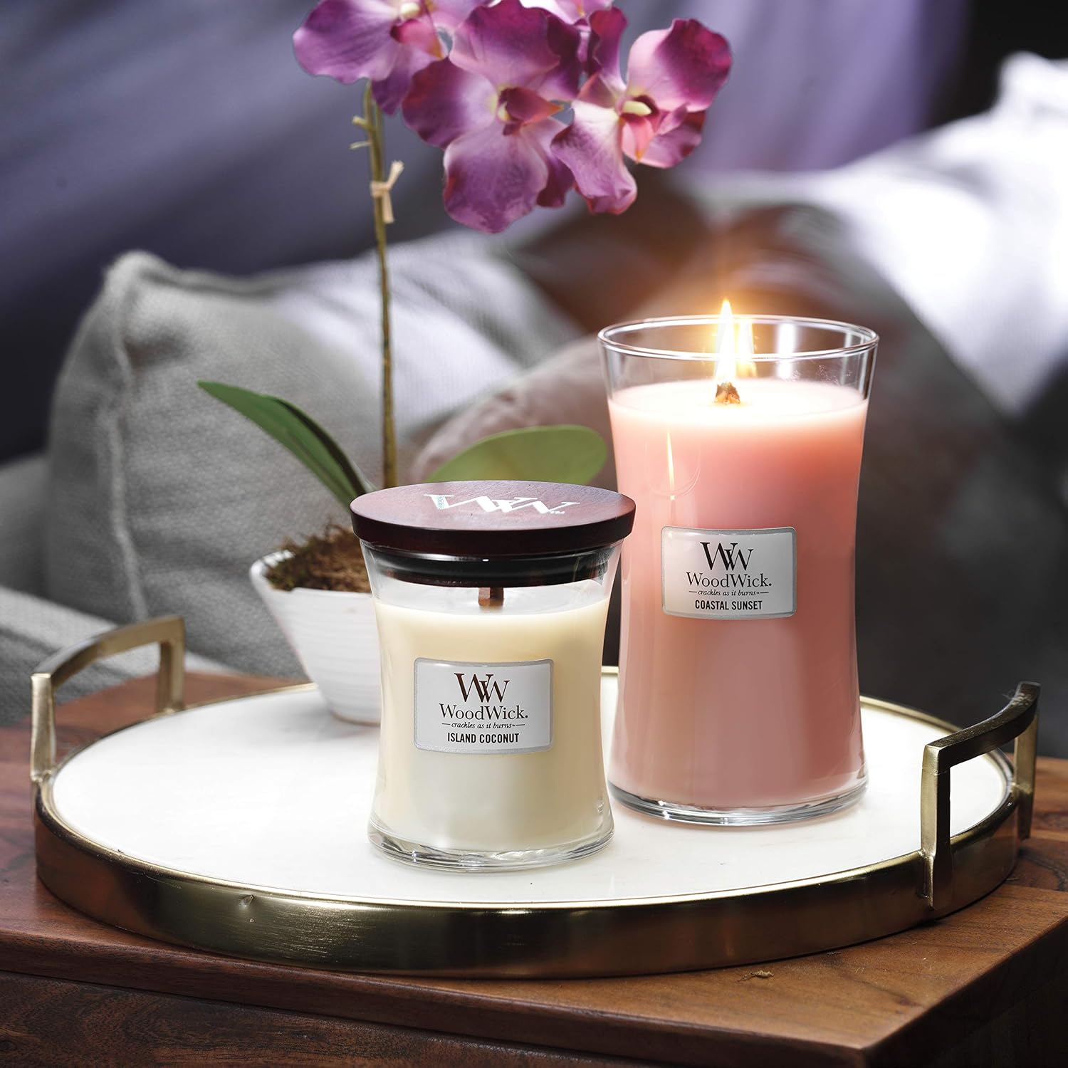 Thumbnail 5 de WoodWick Bougie parfumée grand format sablier Noix de coco des îles
