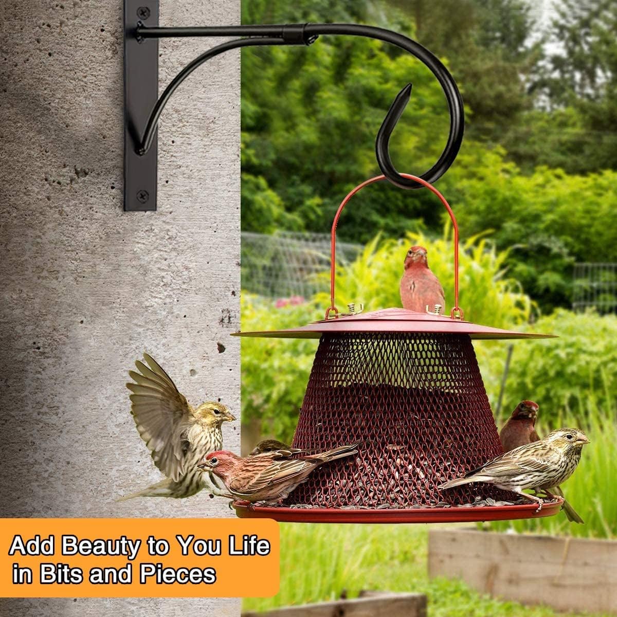 Detalle de Iron Wall Mount Plant Hanger (2-pack, 11 inch) rust-resistant brackets for hanging plants, lanterns and more