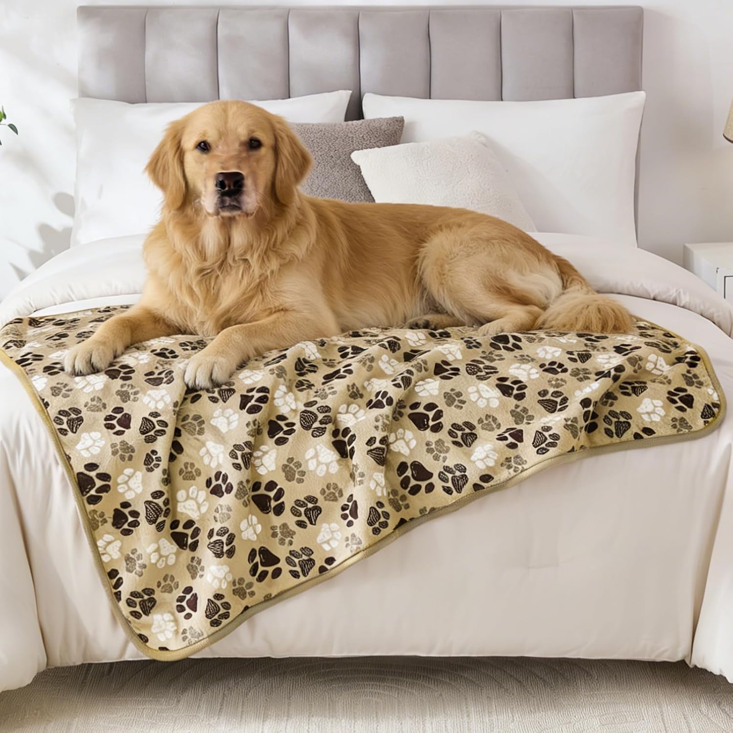 Detalle 2 de WONGS BEDDING Waterproof Dog Blanket 127x152cm