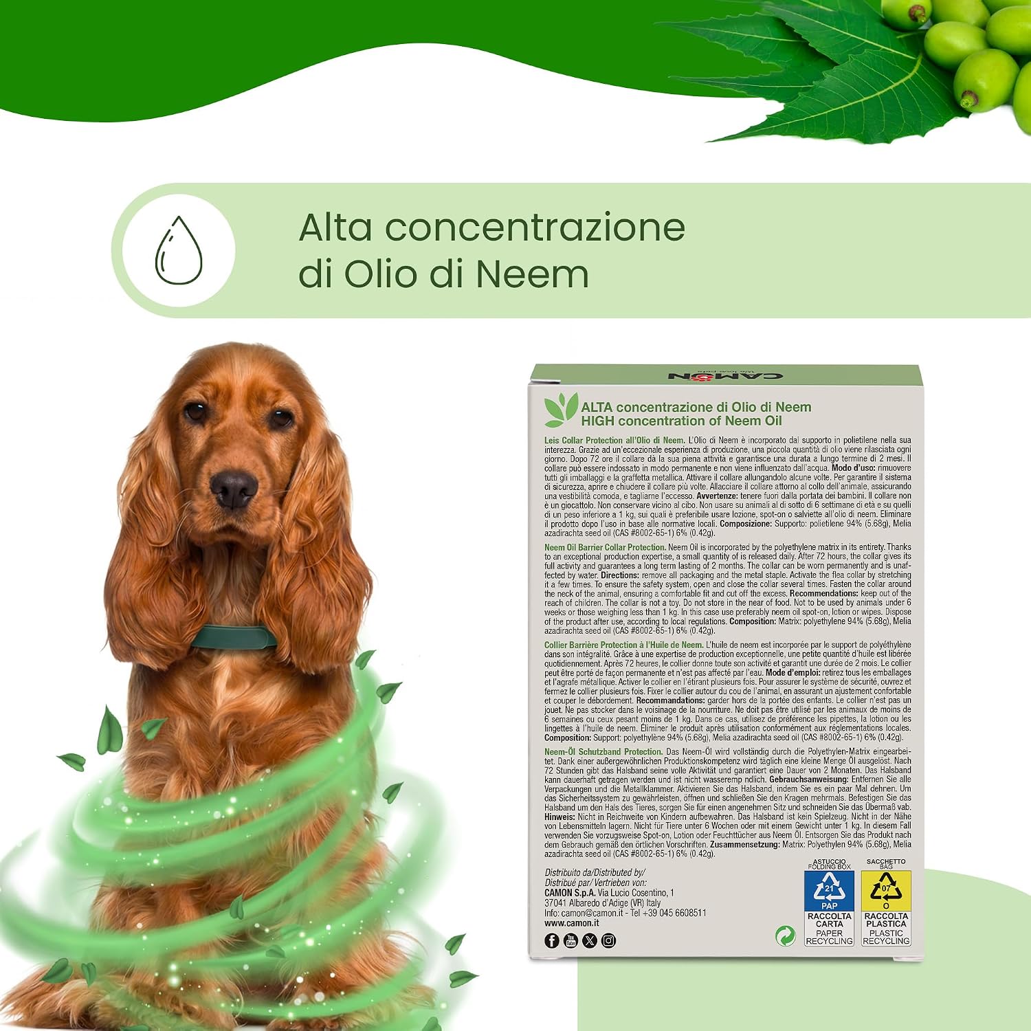 Detalle 2 de CAMON Collare Protettivo per Cane (>10kg) con Olio di Neem, 60 cm: protezione naturale fino a 2 mesi