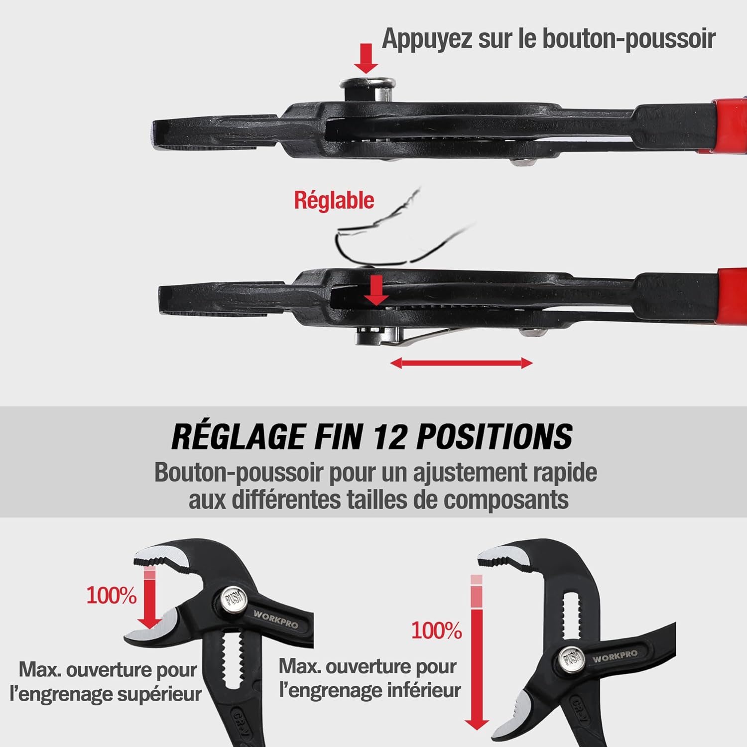 Thumbnail 5 de WORKPRO Pinces pompe eau 180/250 mm