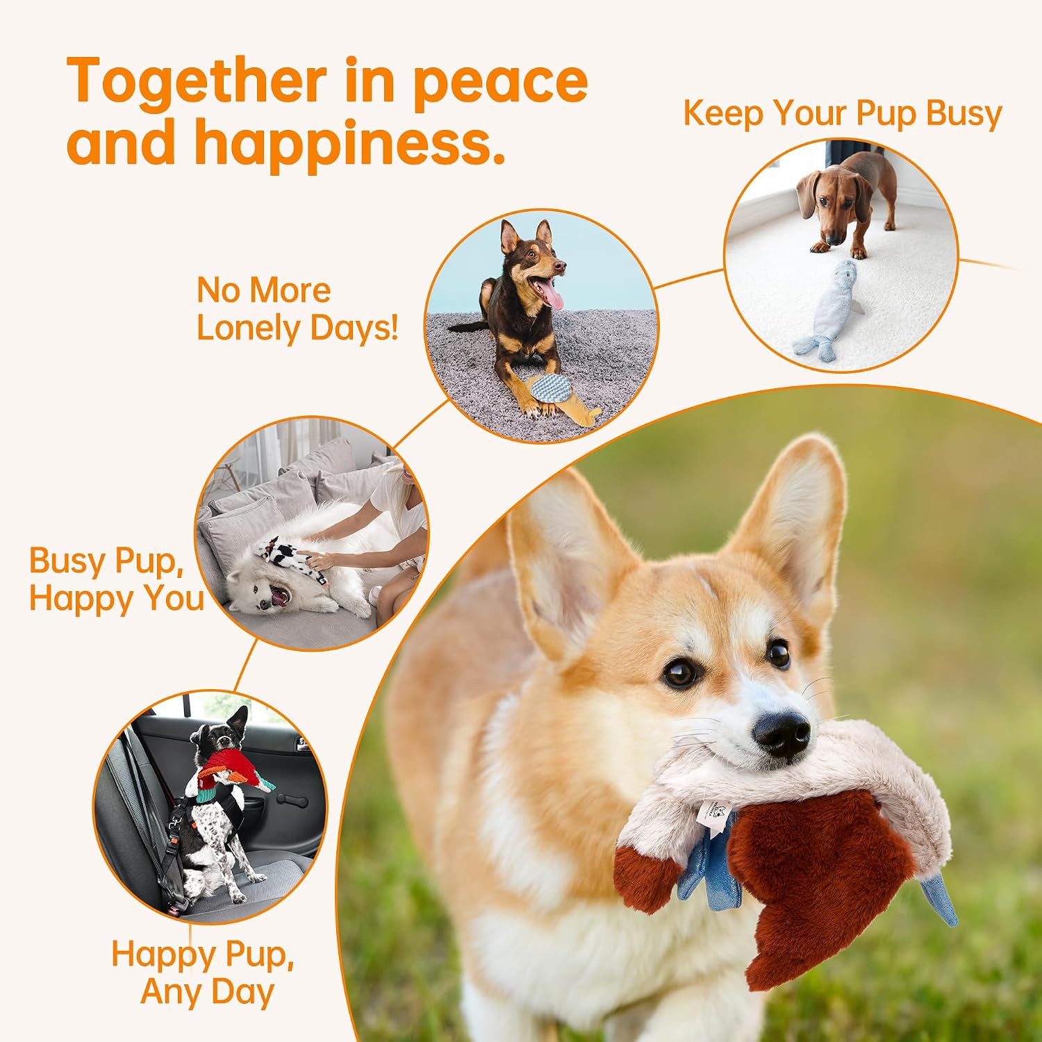 Thumbnail 5 de Nocciola No Stuffing Dog Toys with Crinkle Paper – 5-Pack Squeaky Plush Toys for All Size Dogs
