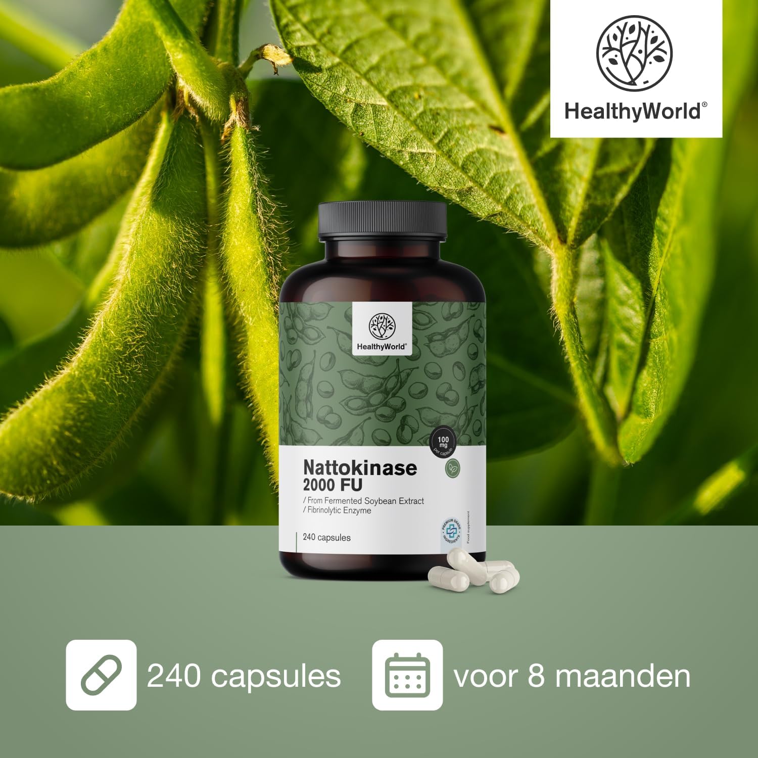 Detalle de HealthyWorld Nattokinase 2000 FU capsules, 100 mg, vegan, 240 stuks