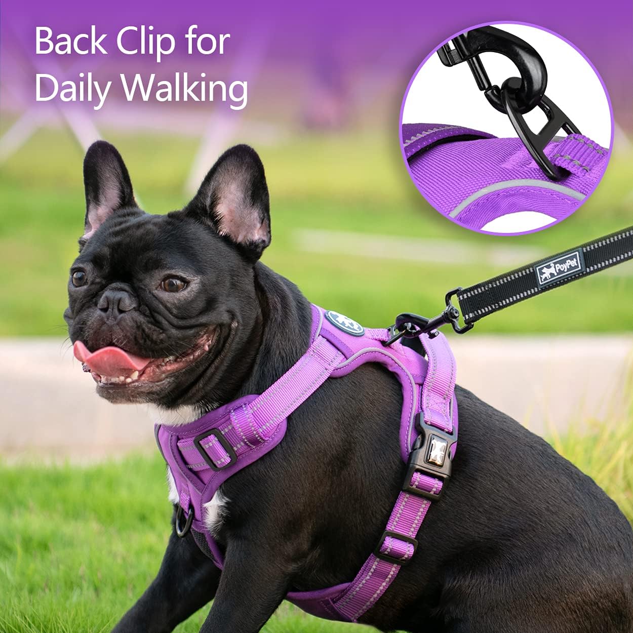 Detalle de PoyPet No Pull Dog Harness (Purple, Size M) – Reflective, Soft & Adjustable