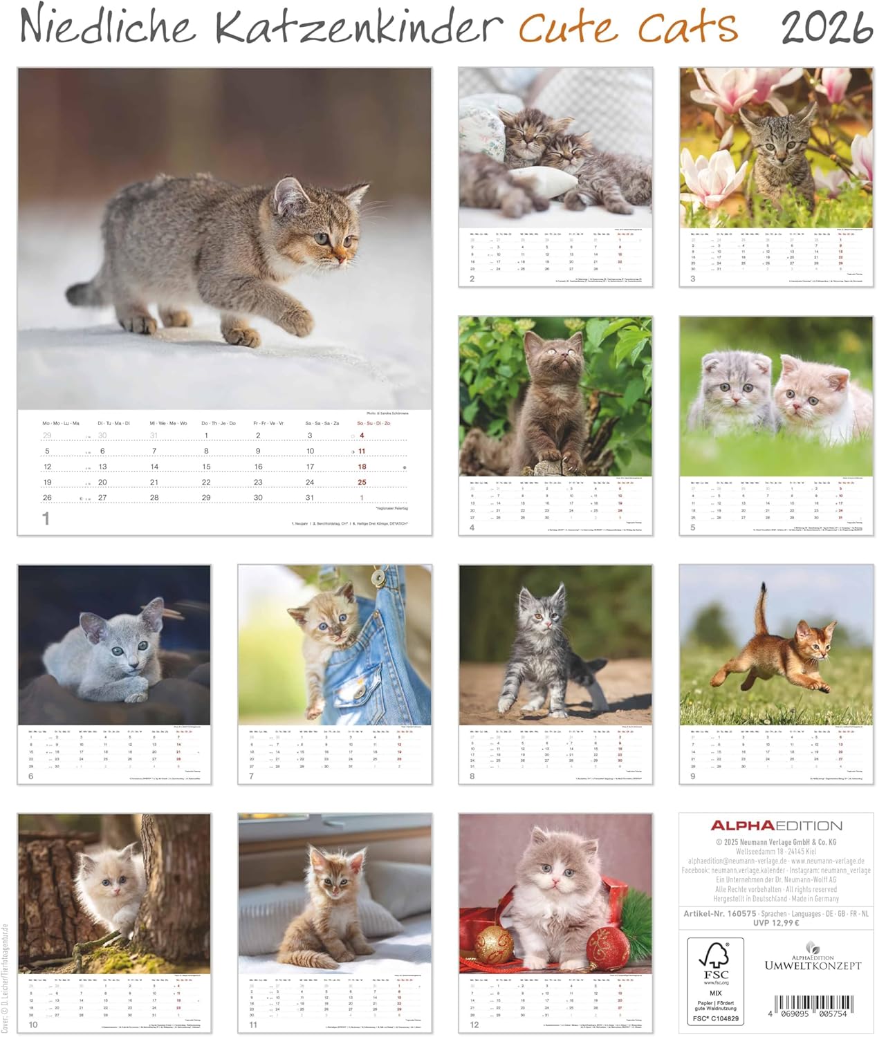 Detalle de Alpha Edition 2026: Niedliche Katzenkinder – Wandkalender 30×34 cm mit 12 Katzenbaby-Motiven und Monatsübersicht