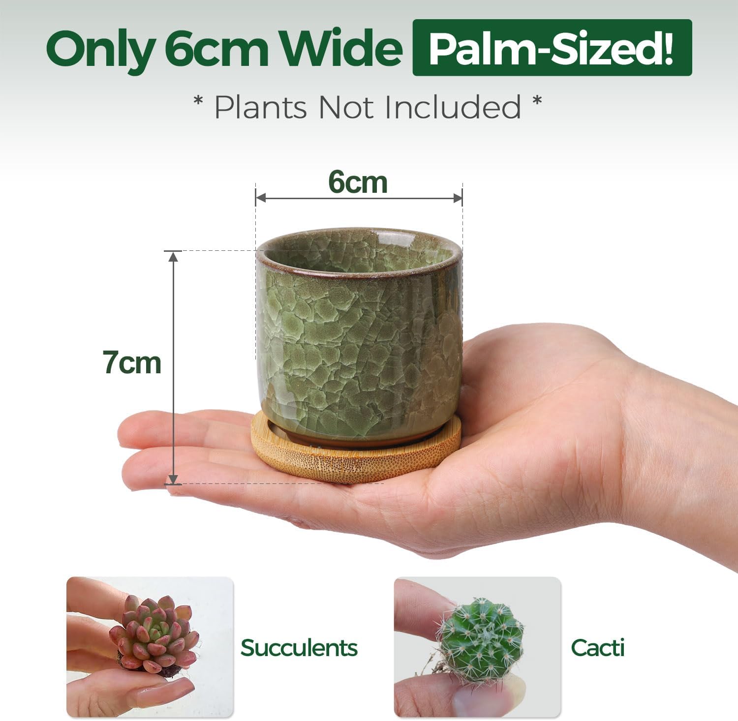 Thumbnail 1 de T4U 6cm Succulent Plant Pot Set of 6 🌱