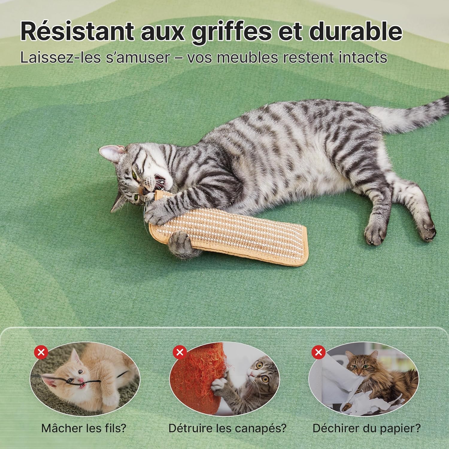 Thumbnail 5 de Lot de 2 jouets Potaroma pour chat avec herbe à chat bio (6000 mg A+) en sisal