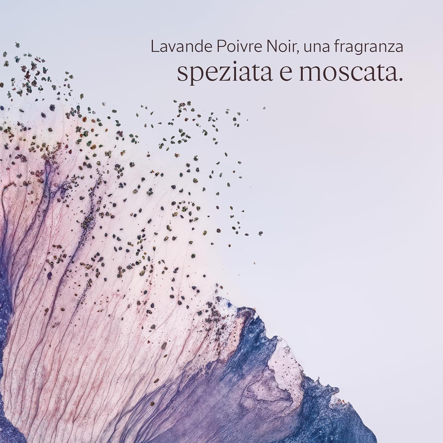 Thumbnail 1 de L'OCCITANE Balsamo Dopobarba Lavande Poivre Noir 75 ml: lenitivo, idratazione e profumo elegante