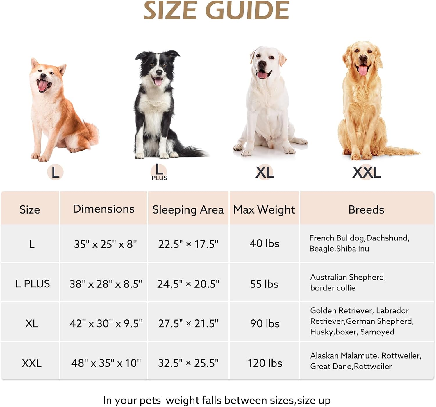 Thumbnail 5 de JOEJOY XL Orthopedic Dog Bed 107x76x24 cm