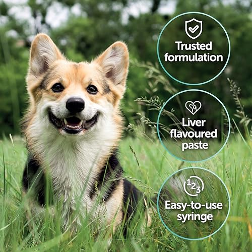 Detalle de Protexin Veterinary Pro-Kolin Advanced Paste for Dogs, 30ml Syringe