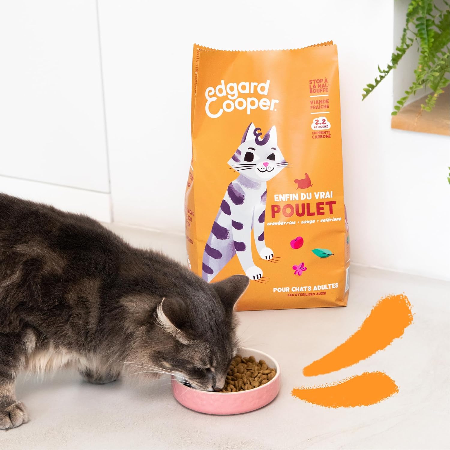 Thumbnail 6 de Edgard & Cooper Croquettes Chat Stérilisé Adulte Poulet 4kg — Sans Céréales, Viande Fraîche